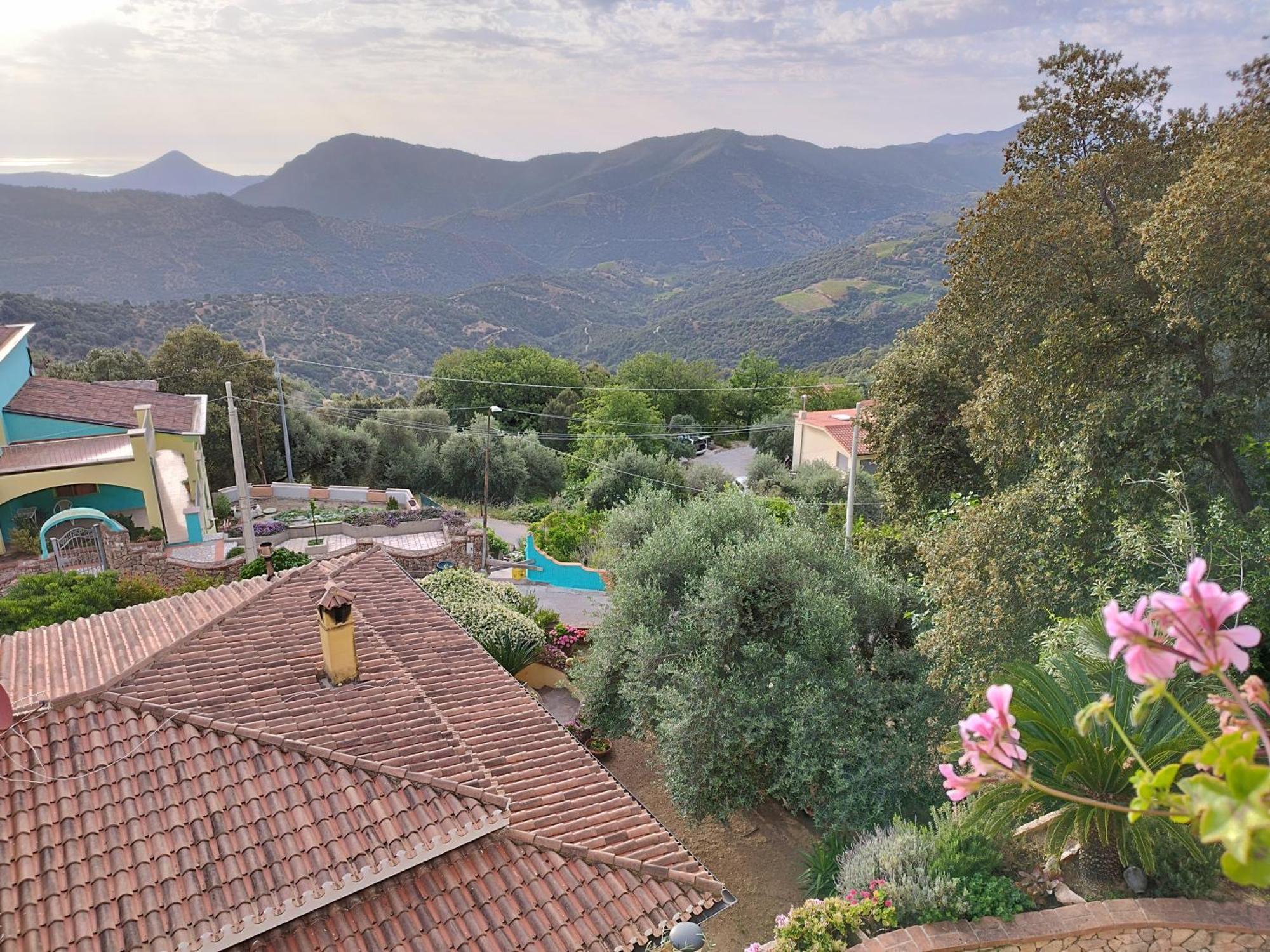 Appartamenti La Collina Jerzu Exterior photo